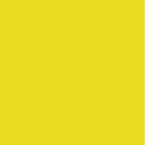 Aquasheen Card & Paper Ink Lemon