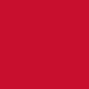 Union Ink PADE3006 EF MAXOPAKE Brite Red