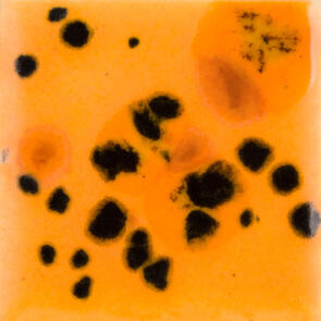 Mayco Jungle Gems Lowfire Brushable Glaze CG-1013 Papaya