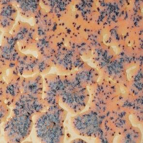 Amaco Crawls Brushable Glaze CR-18 Speckled Flux Crawl