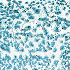 Amaco Crawls Brushable Glaze CR-22 Speckled Teal