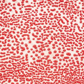 Amaco Crawls Brushable Glaze CR-58 Red