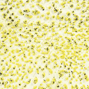 Amaco Crawls Brushable Glaze CR-61 Speckled Yellow