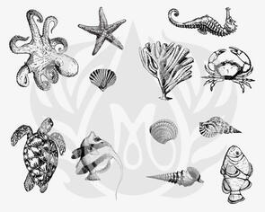 Mayco Designer Silk Screen Sea Life