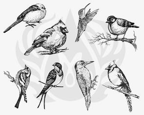 Mayco Designer Silk Screen Aviary Small Birds