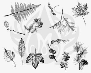 Mayco Designer Silk Screen Botanical Leaves