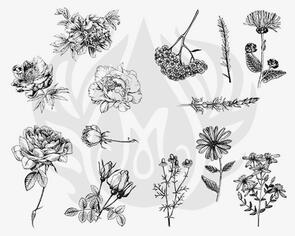Mayco Designer Silk Screen Flowers