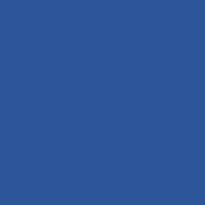 Union Ink PADE5036 EF MAXOPAKE Royal Blue