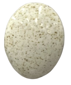 Northcote Brushable Highfire Glaze SG232L White Speckle