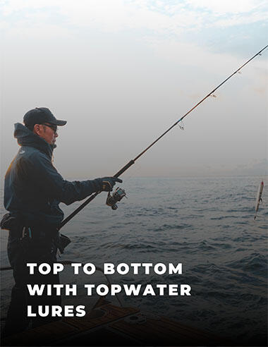 Buying Guide - Topwater Lures
