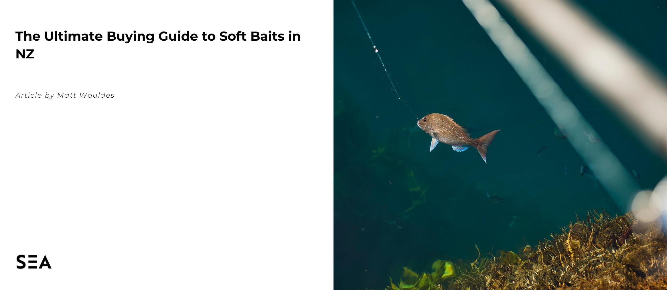The Ultimate Buying Guide for Soft Baits