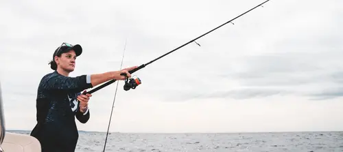 Daiwa 24 TD Black 3000 Softbait Reel | Land & Sea NZ