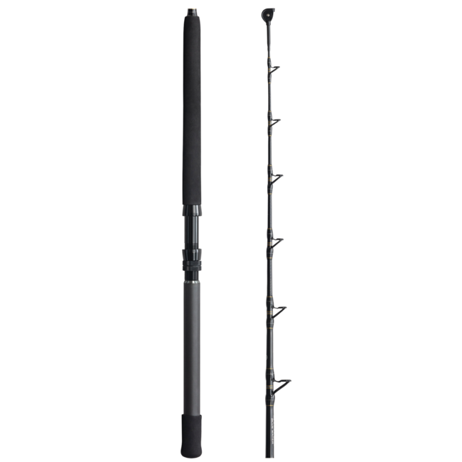 daiwa 1200mj seaborg megatwin electric reel SB1200MJ Abu Garcia Vengeance Spin Daiwa Kage LT Model:EXW80/2 RH-GD featuring a Mega Torque