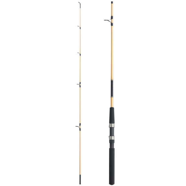 Shimano Fishing Rods | Land & Sea