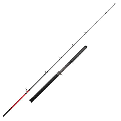 CD RODS Albagraph Rod - Cast 6'6 2pc 10kg | Land & Sea