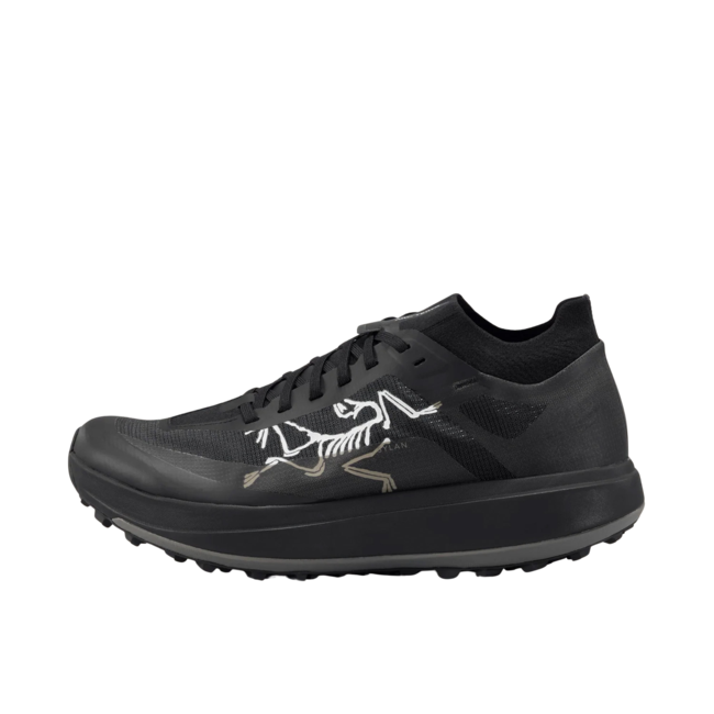 Arc'teryx Sylan Pro