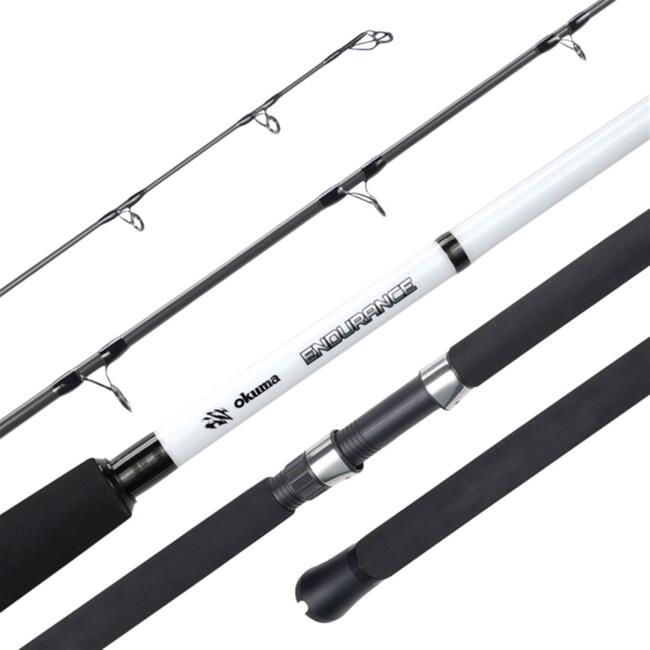 shimano 2000 reels Shimano TOR2000HGA Torium Jigging Special Star Drag Conventional Reel