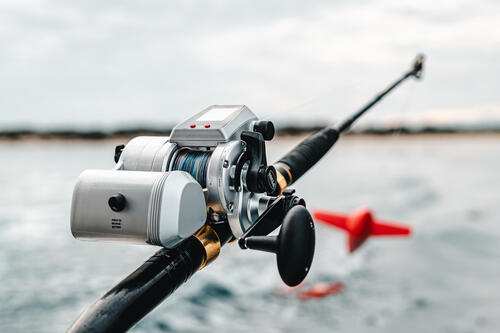 best enclosed fishing reels The 4 Best Fishing Reels of 2026