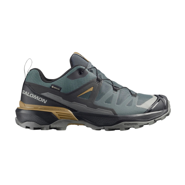 Salomon X Ultra 360 GTX