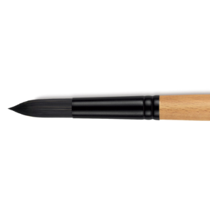 Princeton Catalyst Long Handle Round