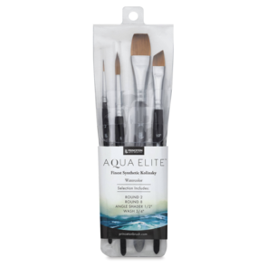 Princeton Aqua Elite Brush Sets Pro Set 4