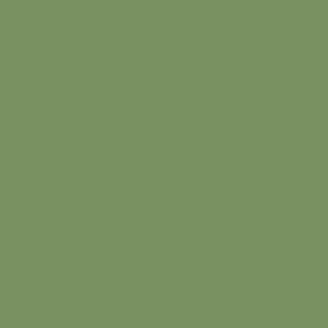 Tilda Solid Colours - Pine