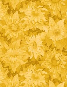 Wilmington MM Fabs Joanne Porter Flowers of the Sun 1419-79280-555