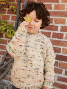 Sandnes Garn Pattern 2408-8 - Dave Sweater Junior - Full Kit