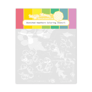 Waffle Flower Sketched Hawthorn Coloring Stencil