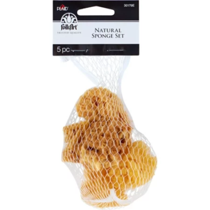 FolkArt Decorator Sponge Value Pack 5Pc