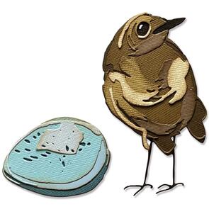 Sizzix Tim Holtz Thinlits Die Set 11PK Bird & Egg Colorize