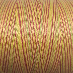 Valdani 35wt Hand Dyed Variegated Sewing Thread 1000m