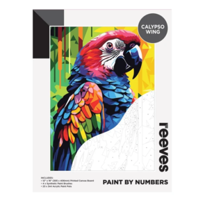 Reeves Paint by Number - Calypso Wing