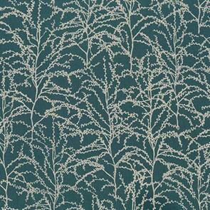 Robert Kaufman * AJSP-18214-224 EVERGREEN