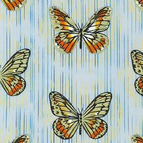 Robert Kaufman * AJSP-19701-390 BREEZE