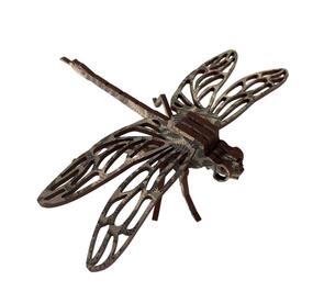 Abstract Dragonfly