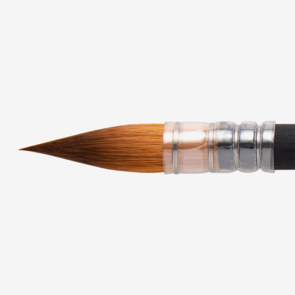 Princeton Aqua Elite Short Handle Quill 6