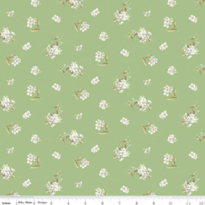 Riley Blake Peter Rabbit & friends -  Jasmine - Green