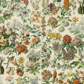 Free Spirit Tim Holtz Electic Elements - Palette Canvas || Orange Botanical