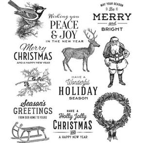 Stampers Anonymous Tim Holtz Stamp Set - Festive Overly CMS357