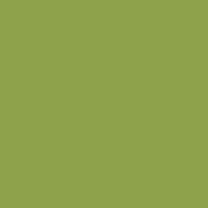 Free Spirit Tula Pink Solids TP Dragon's Breath - Matcha