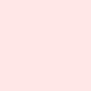 Free Spirit Tula Pink Solids TP Unicorn Poop - Peachfuzz