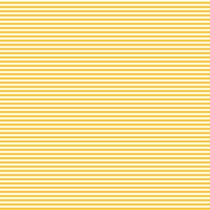 Devonstone Fundamentals - 1/8" Stripe Sunnyside