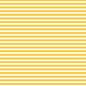 Devonstone Fundamentals - 1/4" Stripe Sunnyside