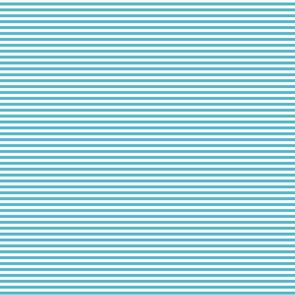 Devonstone Fundamentals - 1/8" Stripe Barrier Blue