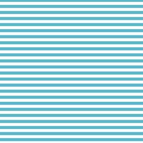 Devonstone Fundamentals - 1/4" Stripe Barrier Blue