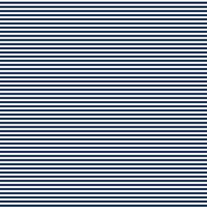 Devonstone Fundamentals - 1/8" Stripe Gambier Blue