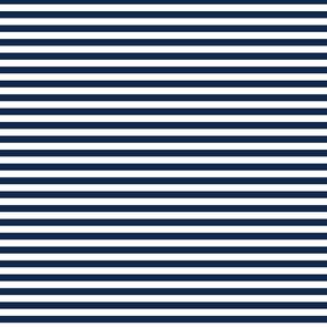 Devonstone Fundamentals - 1/4" Stripe Gambier Blue