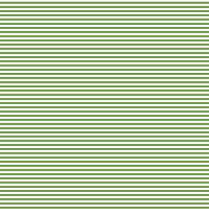 Devonstone Fundamentals - 1/8" Stripe Crocodile