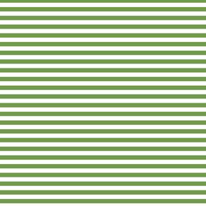 Devonstone Fundamentals - 1/4" Stripe Crocodile